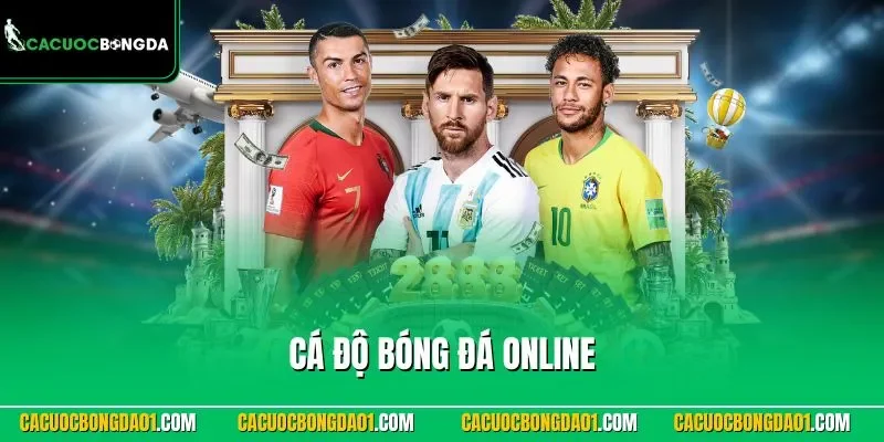 Cá độ bóng đá online