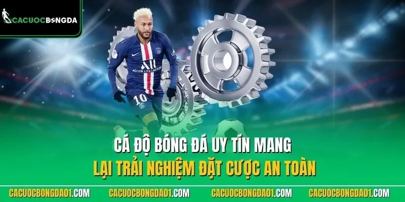 Cá độ bóng đá uy tín mang lại trải nghiệm đặt cược an toàn