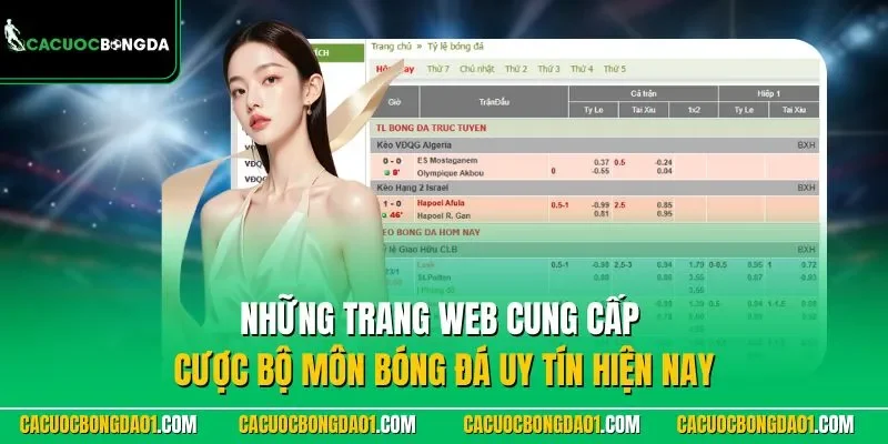 Những trang web cung cấp cược bộ môn bóng đá uy tín hiện nay