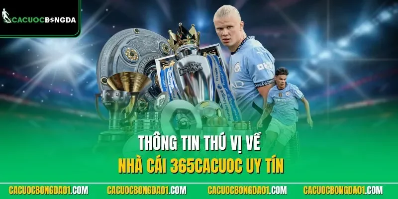 Thông tin thú vị về nhà cái 365cacuoc uy tín