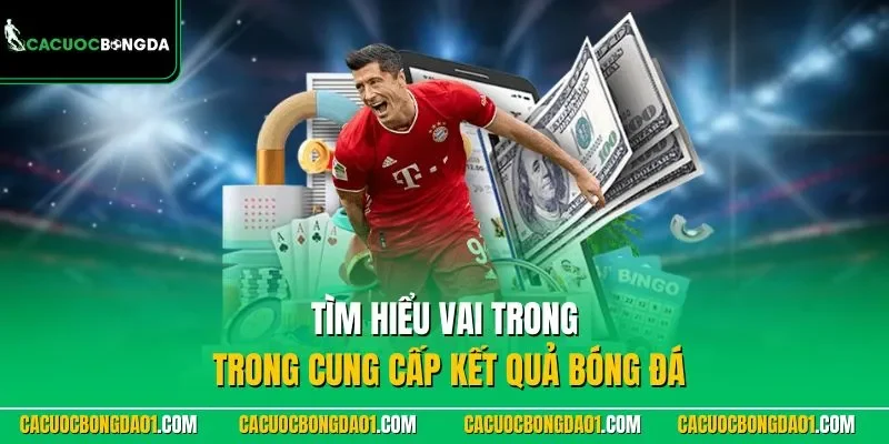 Tìm hiểu vai trong trong cung cấp kết quả bóng đá