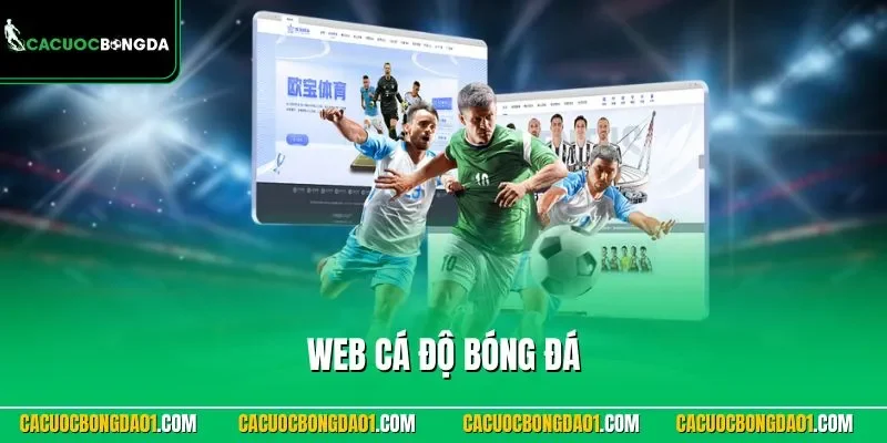 Web cá độ bóng đá